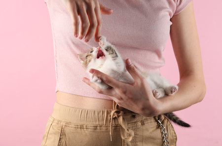 Woman holding cute kitten in on pink backgroundの写真素材