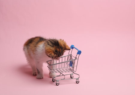 Little cute kitten with a supermarket trolley on a pink background. Humor, shopping concept, sale, discountsの写真素材