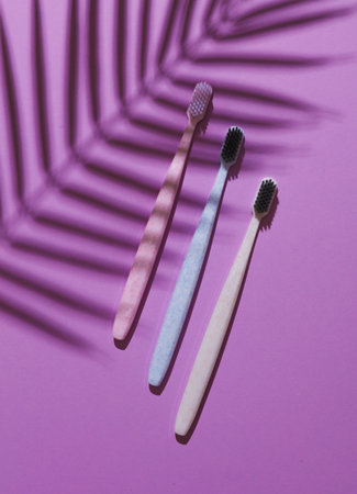 Set of toothbrushes on purple background with palm leaf shadow. Creative layout, Minimalism still lifeの写真素材