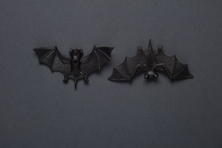 Plastic bats on a dark background. Halloween background