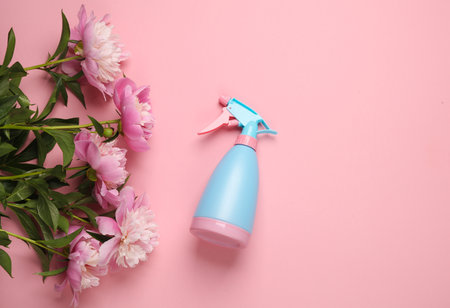 Bouquet of peonies with a spray bottle on a pink backgroundの写真素材