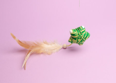 Cat toy with feather soaring on pink backgroundの写真素材