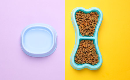 Bowl of bone-shaped dry dog food on a pastel background. Top viewの写真素材