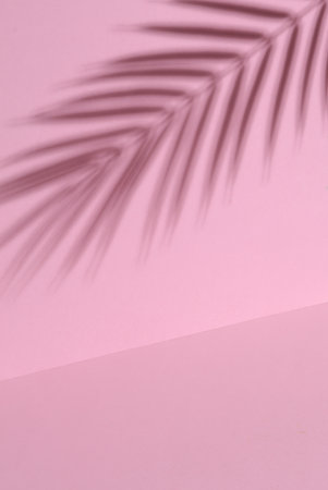 palm leaf shadow on pink background. Creative layout, minimalismの写真素材