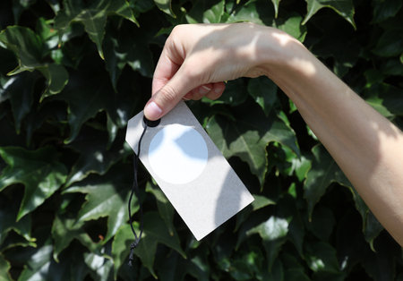 Blank tag with rope in woman's hand against the green leaves wall background