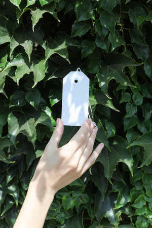 White blank tag with rope in woman's hand against the green leaves wall background