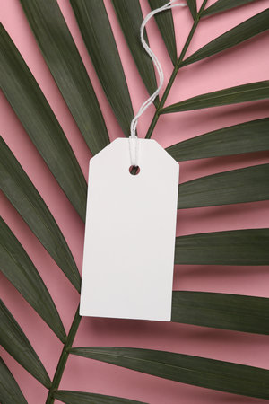 White price tag with green palm leaf on pink background. Creative layout