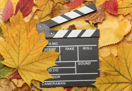 Movie clapperboard on fallen autumn leavesの写真素材
