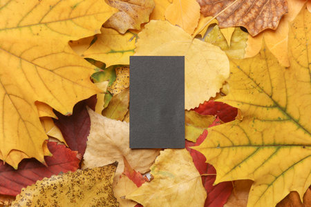 Dark gray business card on fallen autumn leaves
