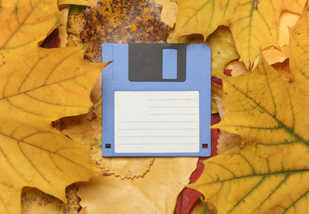 Retro floppy disk on fallen autumn leaves