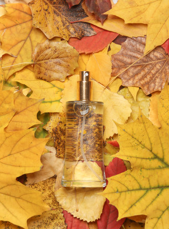 Perfume bottle on fallen autumn leavesの写真素材