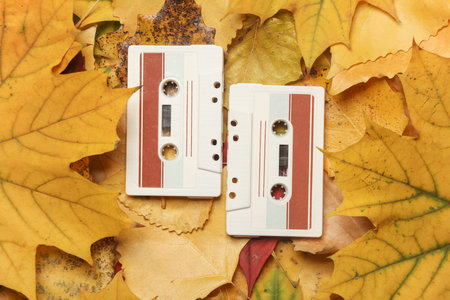 Retro audio cassettes on fallen autumn leavesの写真素材