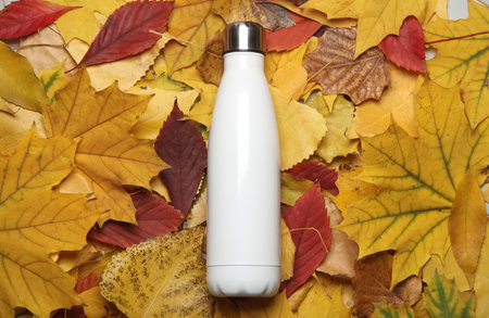 Thermos bottle on fallen autumn leavesの写真素材