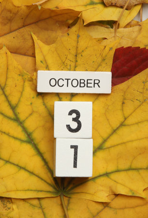 White wooden block Calendar with date October 31 on fallen autumn leavesの写真素材