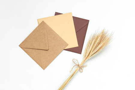 Spikelets of wheat with envelopes on a white backgroundの写真素材