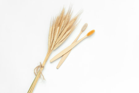 Eco bamboo toothbrushes with wheat ears on a white backgroundの写真素材