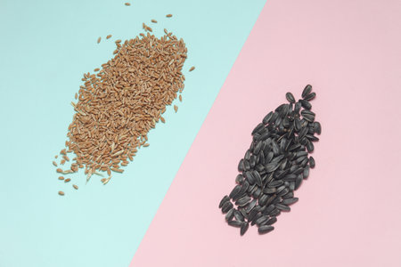Wheat grains and sunflower seeds on a blue-pink backgroundの写真素材