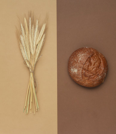 Spikelets of rye and bun on a beige-brown background. Top viewの写真素材