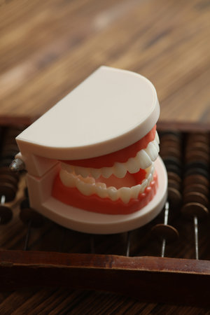 Jaw with abacus on a wooden background. Cost of dental treatment