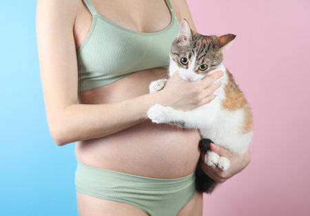 Pregnant woman in underwear with cute cat on blue pink backgroundの写真素材