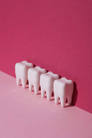 Plastic models of teeth on a pink background. Creative layoutの写真素材