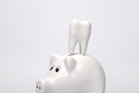 Piggy bank with a tooth model on a white backgroundの写真素材