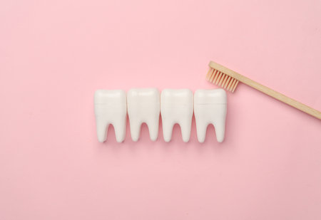 Bamboo toothbrush clean the teeth models on a pink backgroundの写真素材