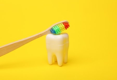 Plastic tooth model with rainbow toothbrush on a yellow background. Dental careの写真素材