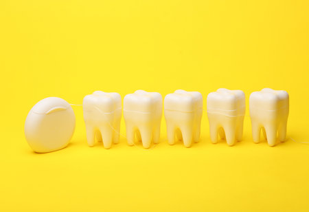 Plastic models of teeth and dental floss on a yellow background. Dental careの写真素材