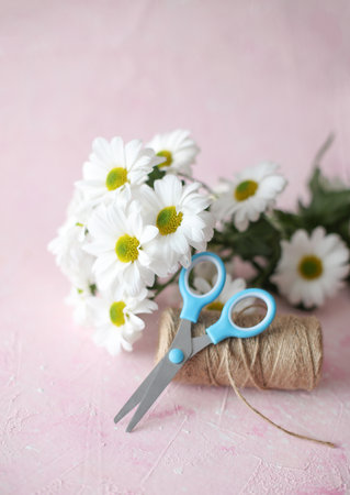 Skein of thread with a bouquet of daisies and blue scissors on a pink backgroundの写真素材