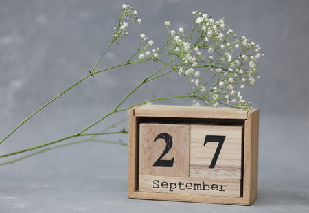 Wooden calendar with the date September 27 and gypsophila flowers on a gray concrete backgroundの写真素材