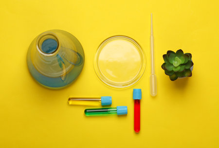 Laboratory glassware (Test tubes with flask) and accessories on yellow backgroundの写真素材