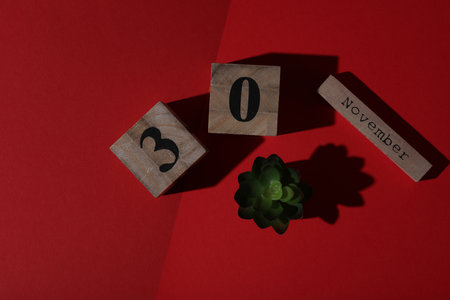 Wooden block calendar with the date November 30 and decorative plant on a red background. Top view