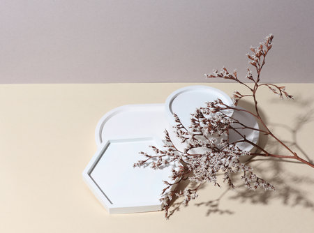 Decorative plaster trays with dry flowers on beige background. Stands for candles, organizers for cosmetics or jewelry. Creative showcaseの写真素材