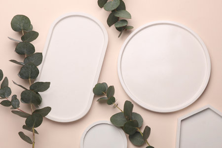 Gypsum decorative trays with sprig of eucalyptus on beige background. Showcase for beauty products....