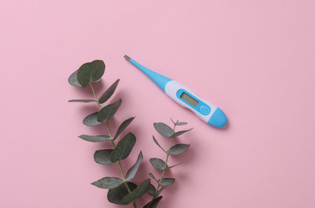 Electronic thermometer with a sprig of eucalyptus on pink background. Top view