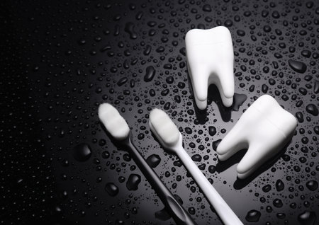 Toothbrushes with models of teeth in water drops on a black backgroundの写真素材