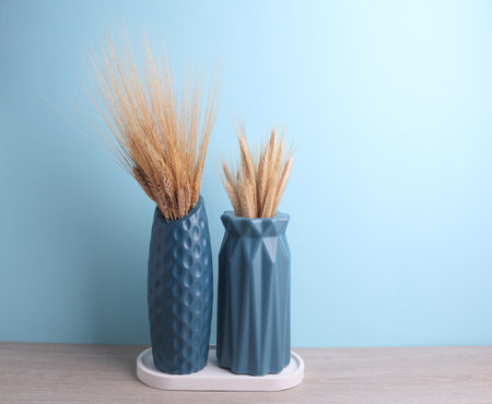 Vases with dry ears of wheat in plaster tray on a blue background. Minimalistic still lifeの写真素材