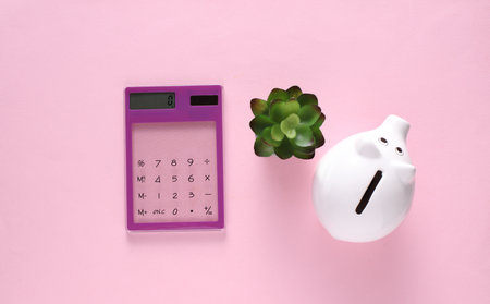 Transparent calculator and piggy bank on pink background. Business concept. Top viewの写真素材
