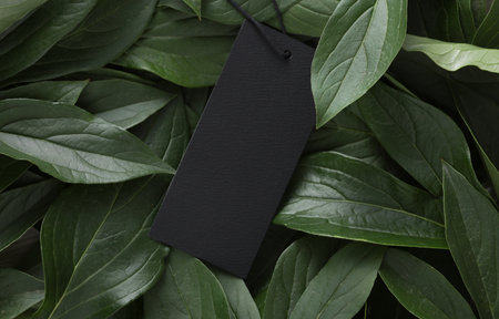 Black price tag on green plant leavesの写真素材