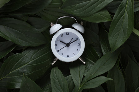 Alarm clock on green plant leaves