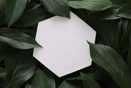 White plaster hexagon on green leavesの写真素材