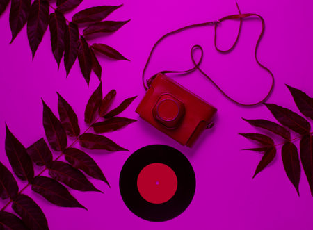 Retro style background. Retro camera in a leather case with strap, vinyl record among green leaves in pink neon light. Top viewの写真素材