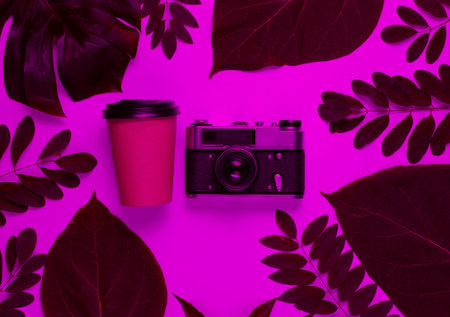 Disposable craft cardboard coffee cup, retro camera in pink neon with green tropical leaves/ Top viewの写真素材