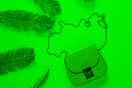 Minimalistic fashion still life. Leather bag among decorative golden palm leaves in green neon...