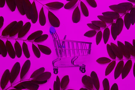 Mini shopping trolley among green leaves in pink neon light. Top viewの写真素材