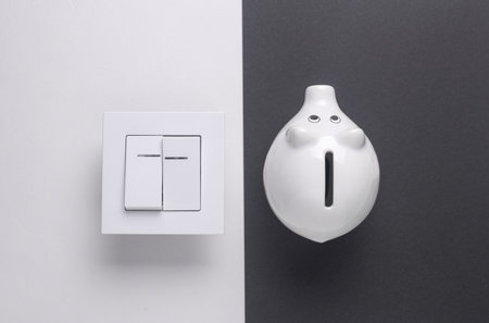 Energy saving. Light switch and piggy bank on white black background