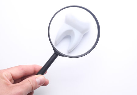 Hand with a magnifying glass examines toy tooth modelの写真素材