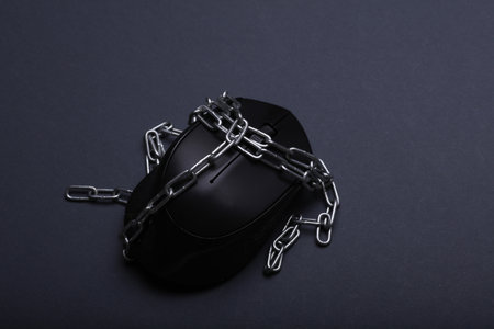 PC mouse wrapped in steel chain