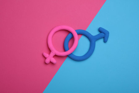 Male and female gender symbols made of plasticine on a blue and pink backgroundの写真素材